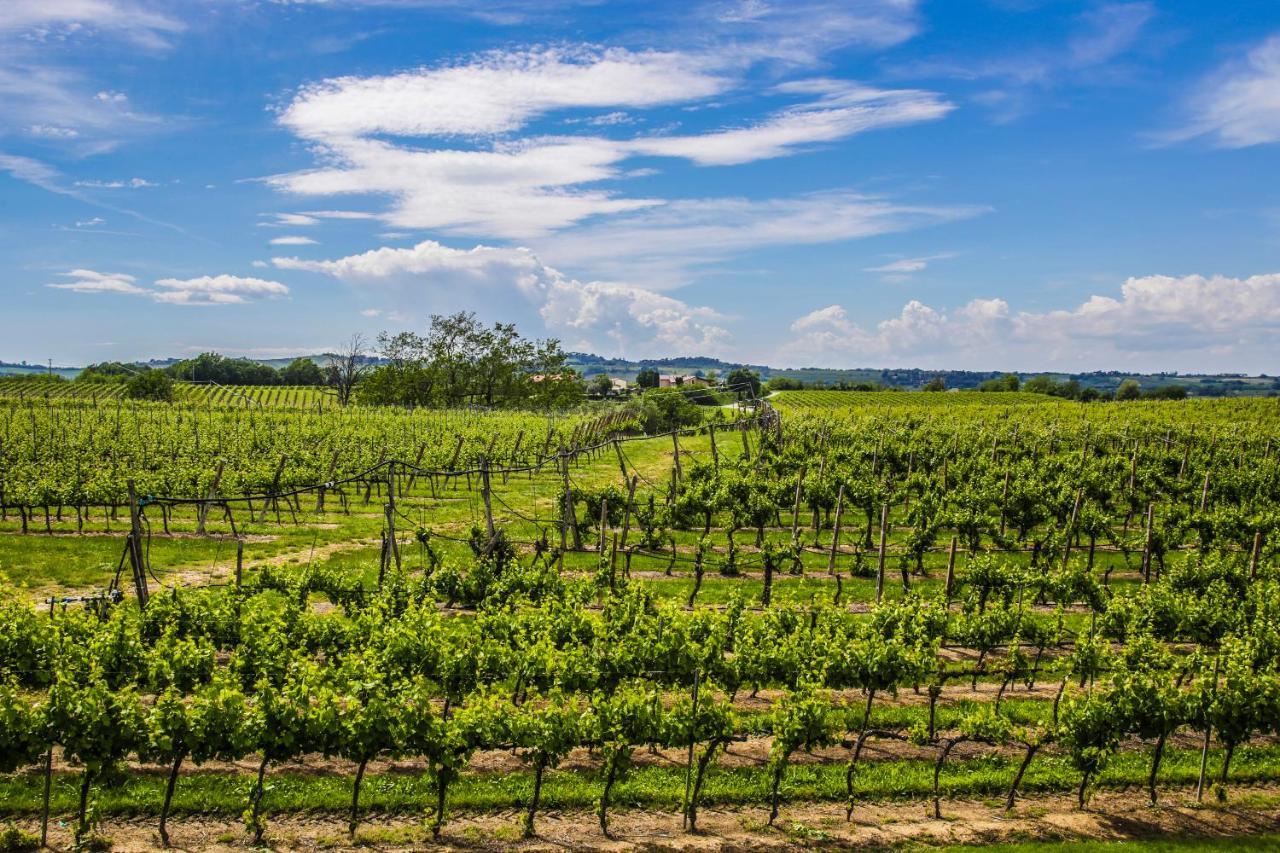 Agriturismo Trere Faenza Kültér fotó