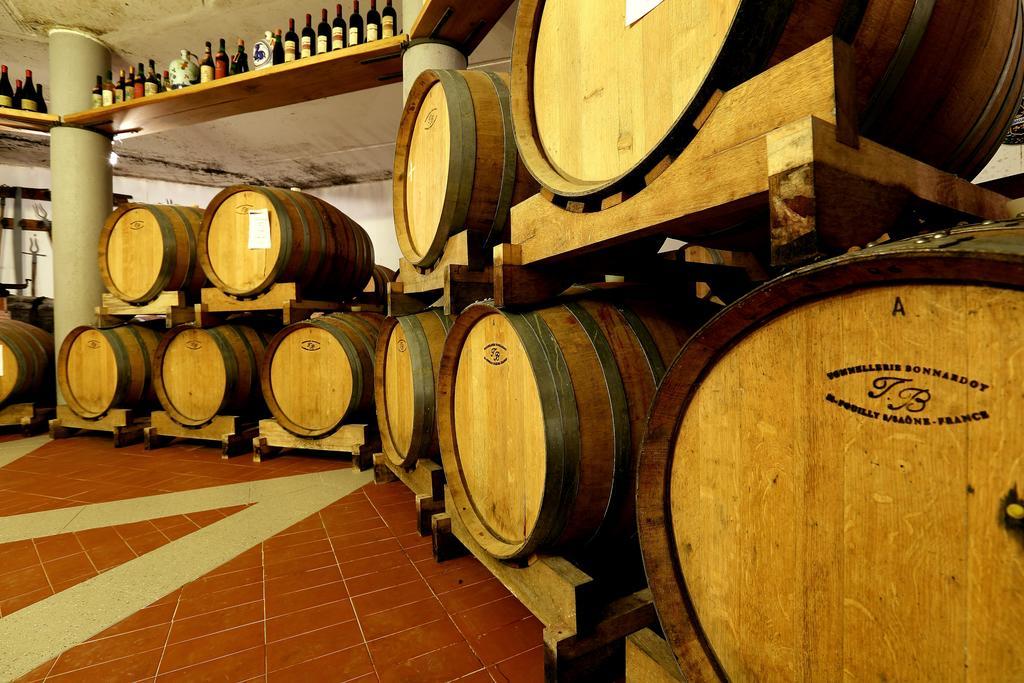 Agriturismo Trere Faenza Kültér fotó
