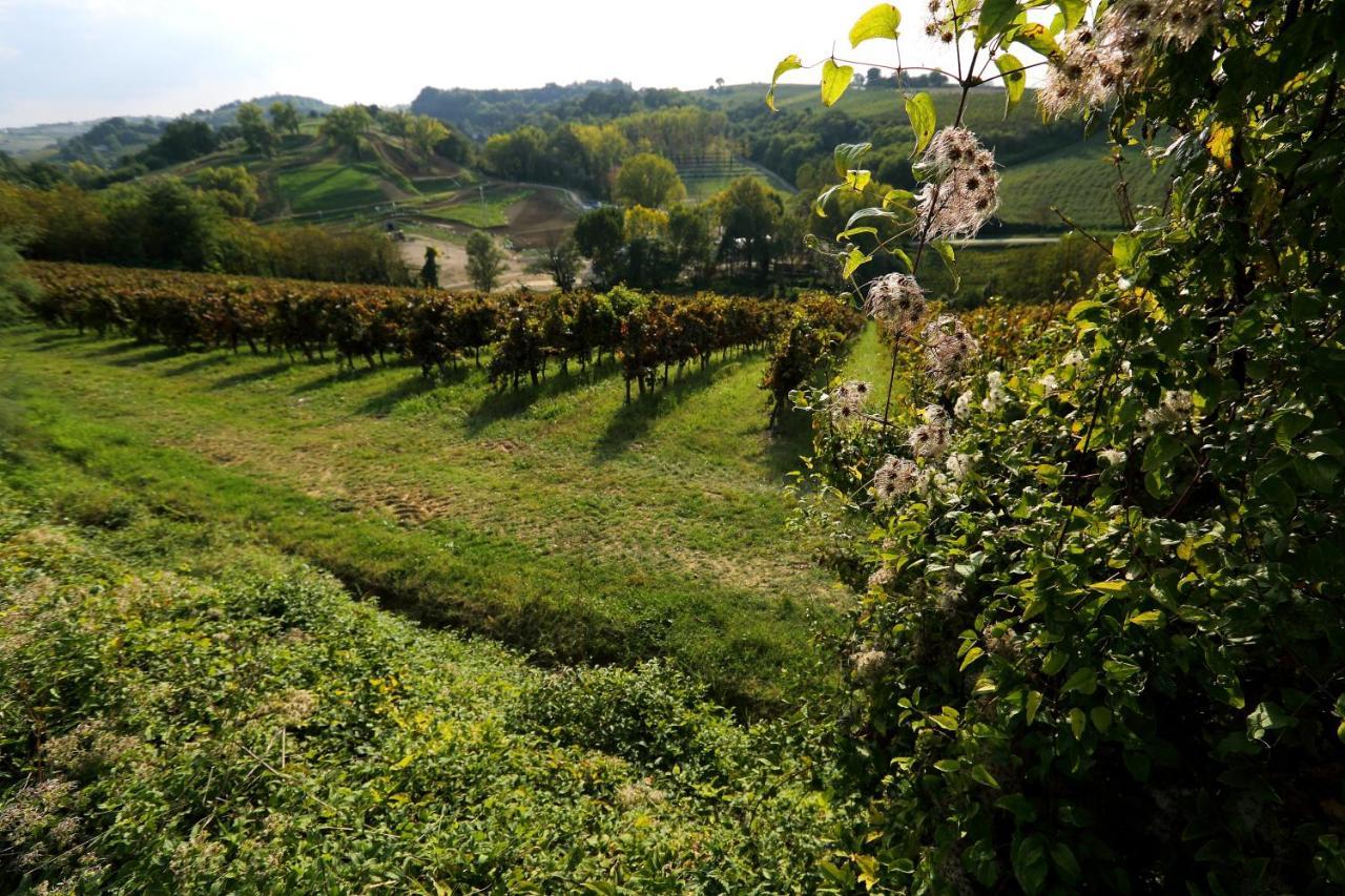 Agriturismo Trere Faenza Kültér fotó